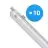 Multipack 10x Philips LED Waterproof Batten CoreLine WT120C G2 42.9W 6000lm - 840 Cool White | 150cm 